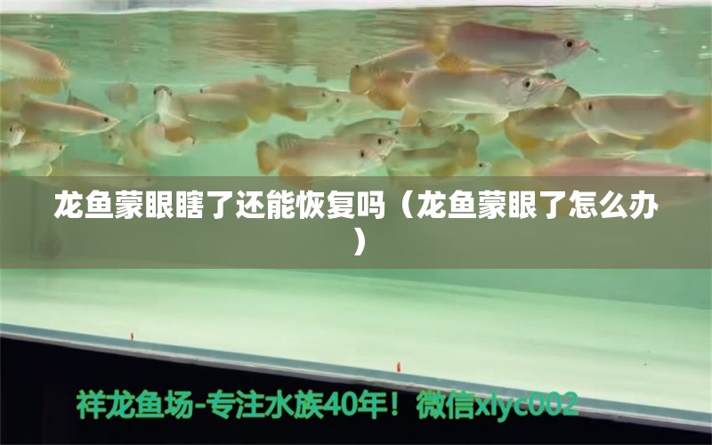 龍魚蒙眼瞎了還能恢復(fù)嗎（龍魚蒙眼了怎么辦）