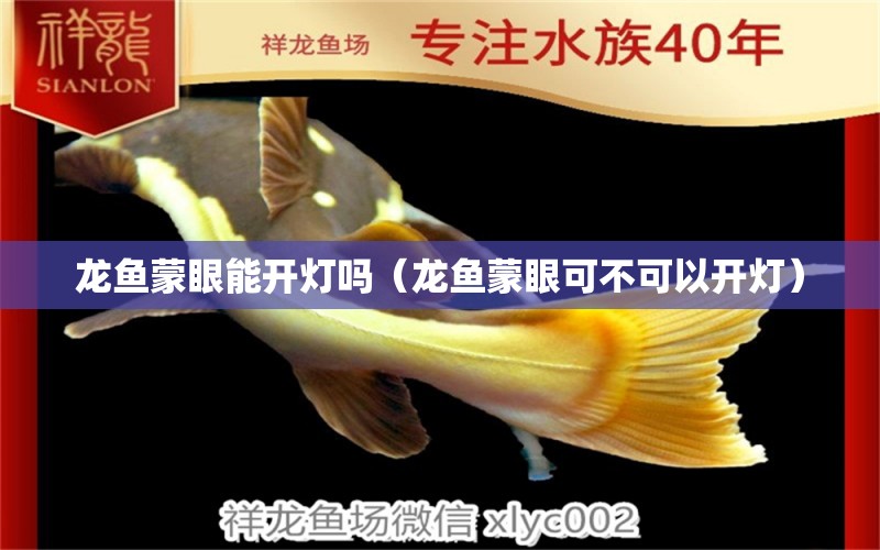 龍魚蒙眼能開燈嗎（龍魚蒙眼可不可以開燈）