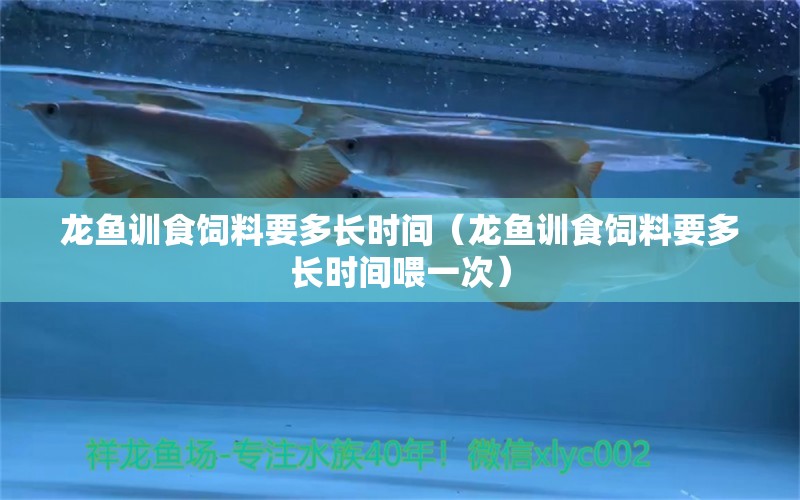 龍魚訓(xùn)食飼料要多長(zhǎng)時(shí)間（龍魚訓(xùn)食飼料要多長(zhǎng)時(shí)間喂一次）