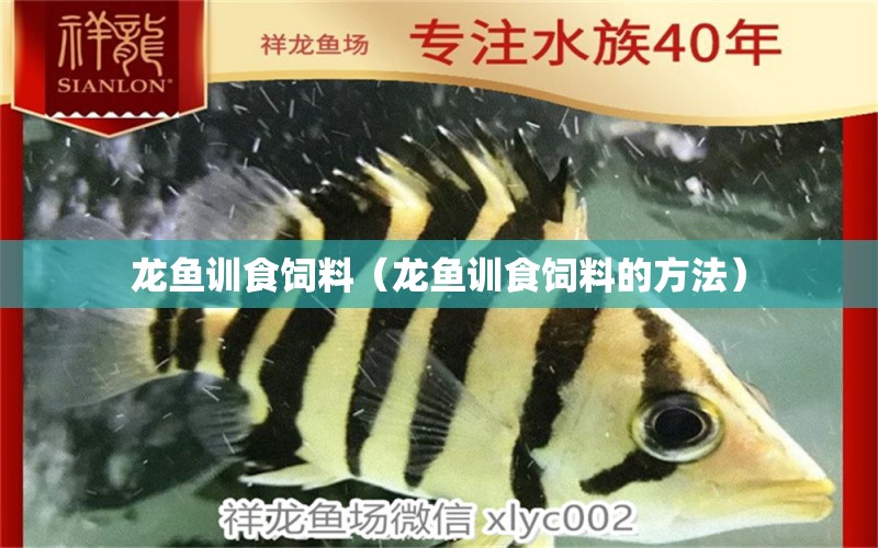 龍魚訓食飼料（龍魚訓食飼料的方法） 龍魚疾病與治療