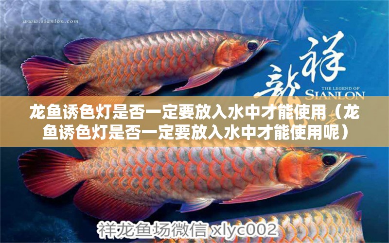 龍魚誘色燈是否一定要放入水中才能使用（龍魚誘色燈是否一定要放入水中才能使用呢）