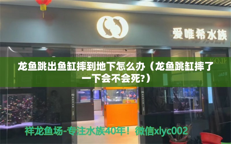 龍魚跳出魚缸摔到地下怎么辦（龍魚跳缸摔了一下會不會死?）