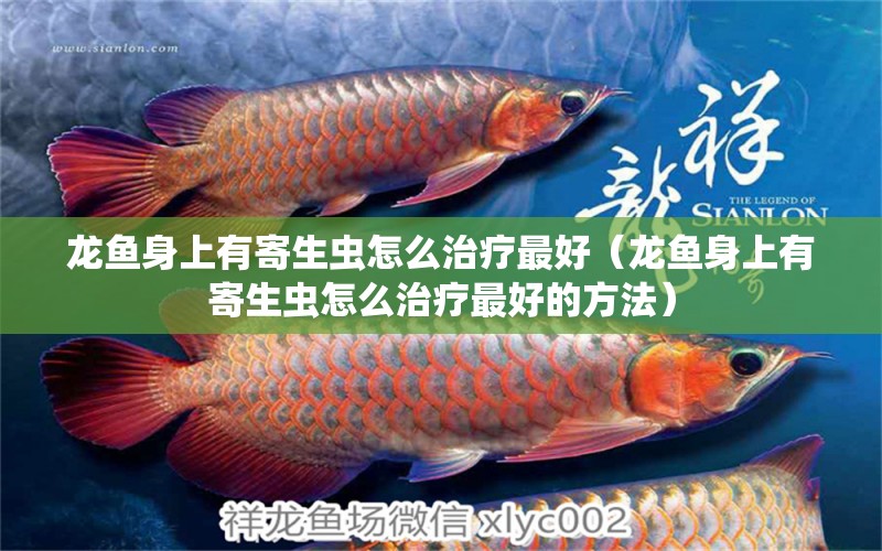 龍魚(yú)身上有寄生蟲(chóng)怎么治療最好（龍魚(yú)身上有寄生蟲(chóng)怎么治療最好的方法） 龍魚(yú)疾病與治療