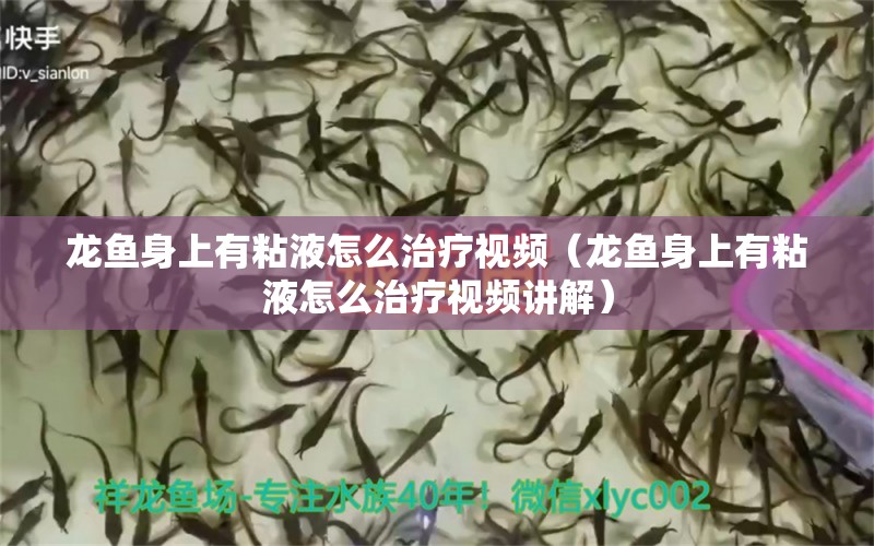 龍魚身上有粘液怎么治療視頻（龍魚身上有粘液怎么治療視頻講解）