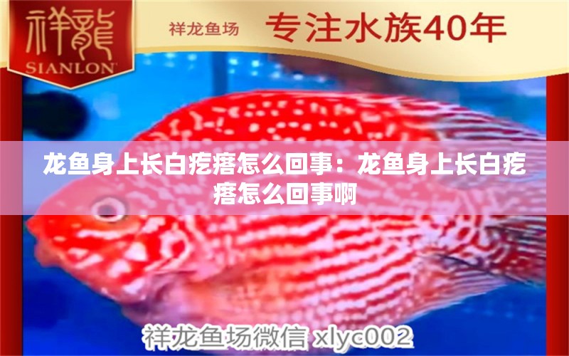 龍魚(yú)身上長(zhǎng)白疙瘩怎么回事：龍魚(yú)身上長(zhǎng)白疙瘩怎么回事啊 養(yǎng)魚(yú)的好處 第1張