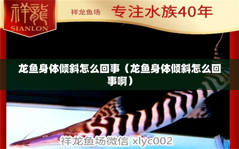 龍魚身體傾斜怎么回事（龍魚身體傾斜怎么回事?。? title=