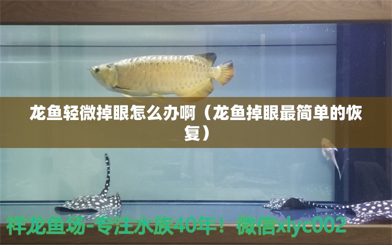 龍魚輕微掉眼怎么辦?。堲~掉眼最簡單的恢復）