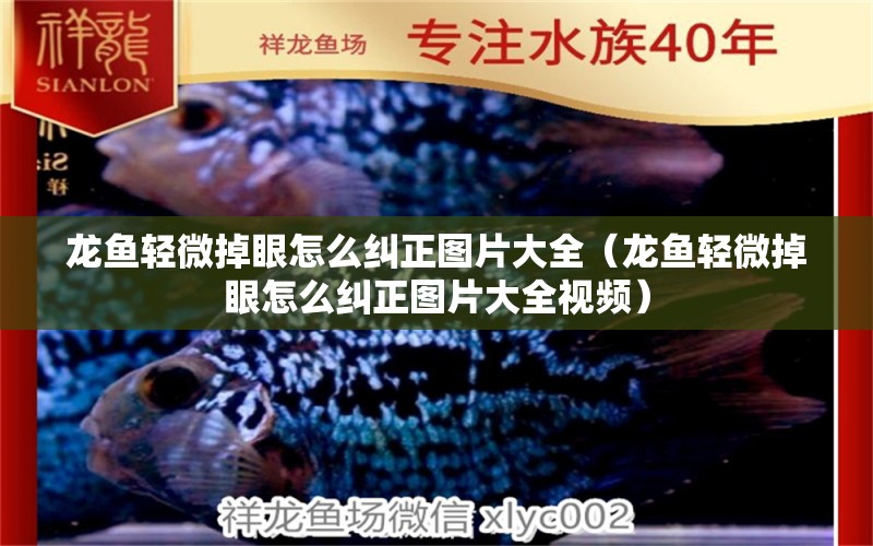 龍魚輕微掉眼怎么糾正圖片大全（龍魚輕微掉眼怎么糾正圖片大全視頻）