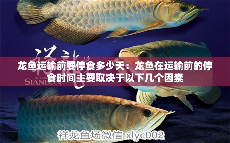 龍魚運(yùn)輸前要停食多少天：龍魚在運(yùn)輸前的停食時(shí)間主要取決于以下幾個(gè)因素 龍魚百科 第2張