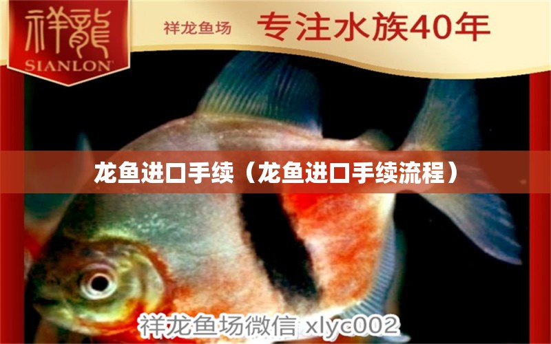 龍魚進(jìn)口手續(xù)（龍魚進(jìn)口手續(xù)流程） 廣州龍魚批發(fā)市場