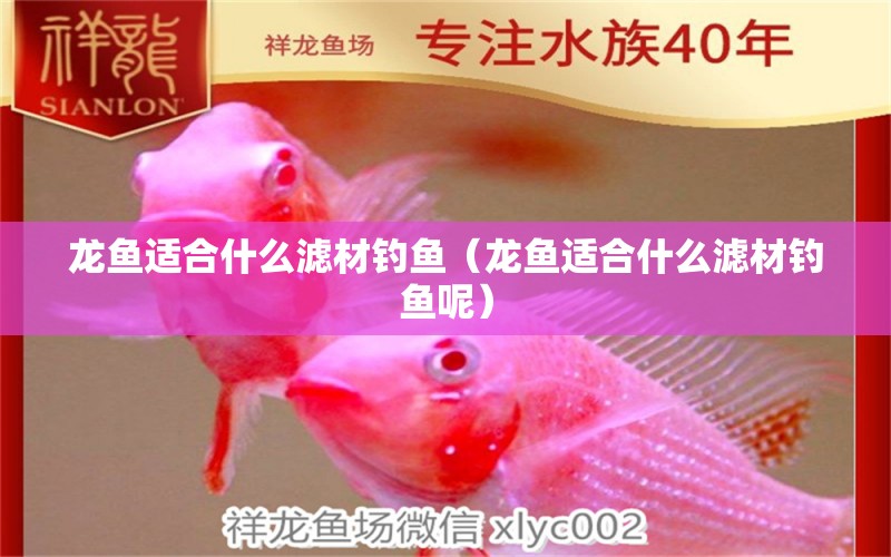 龍魚適合什么濾材釣魚（龍魚適合什么濾材釣魚呢） 垂釣樂園