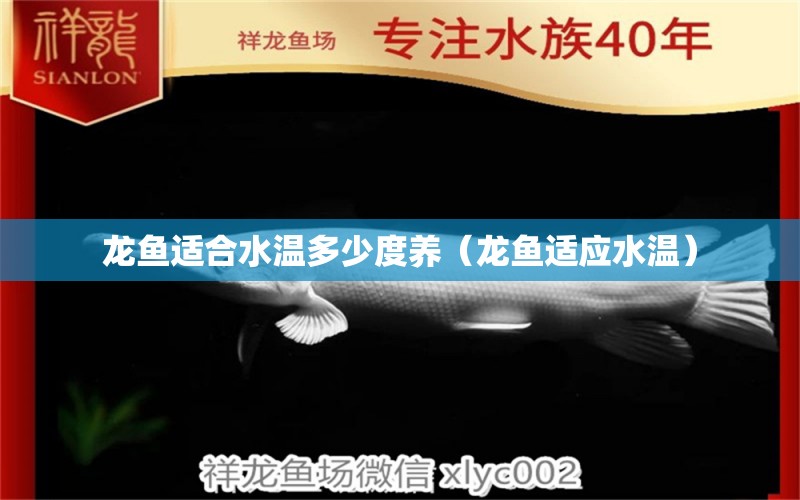 龍魚(yú)適合水溫多少度養(yǎng)（龍魚(yú)適應(yīng)水溫）