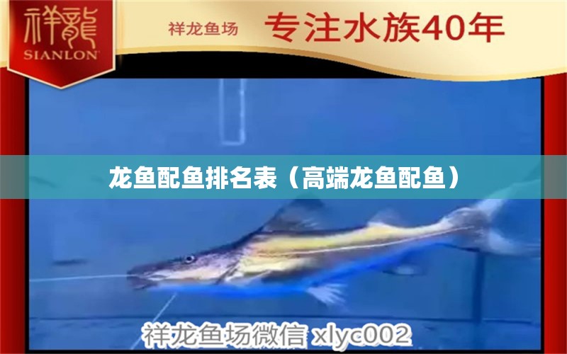 龍魚配魚排名表（高端龍魚配魚）