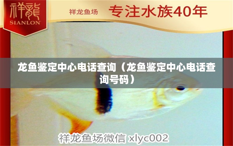 龍魚(yú)鑒定中心電話查詢（龍魚(yú)鑒定中心電話查詢號(hào)碼）