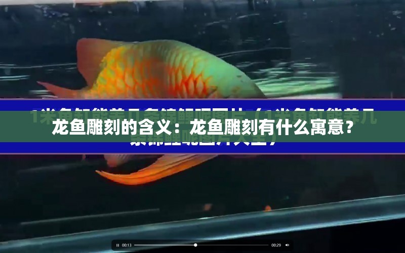 龍魚雕刻的含義：龍魚雕刻有什么寓意？ 水族問答