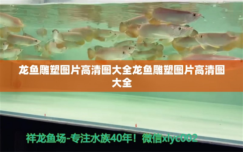 龍魚雕塑圖片高清圖大全龍魚雕塑圖片高清圖大全 白寫錦鯉魚