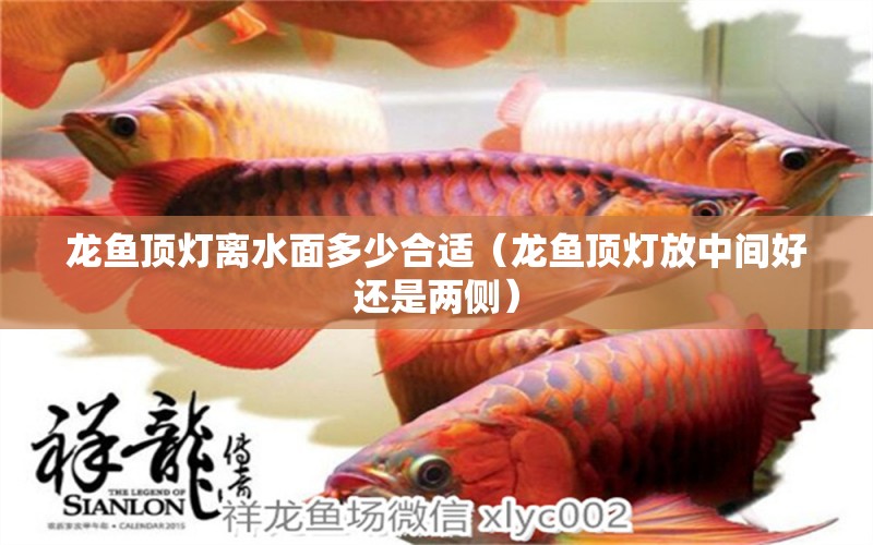 龍魚頂燈離水面多少合適（龍魚頂燈放中間好還是兩側(cè)）