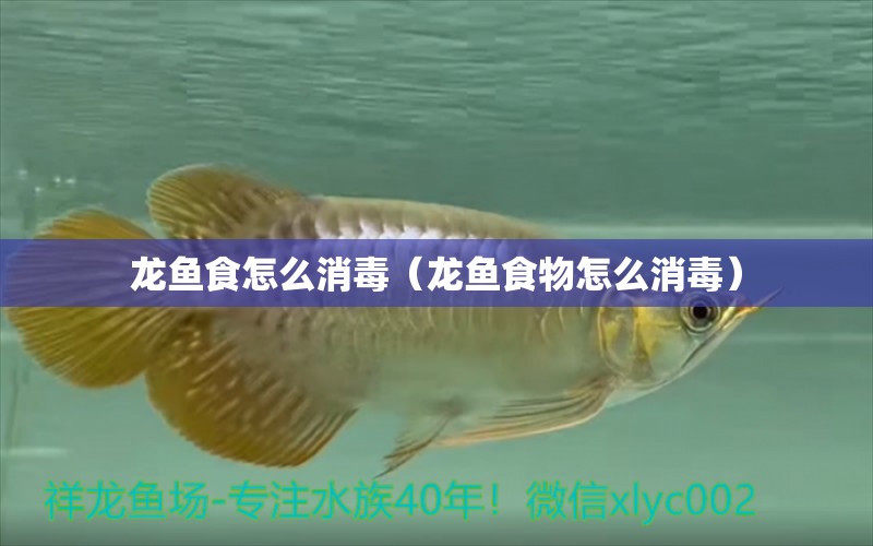 龍魚食怎么消毒（龍魚食物怎么消毒） 龍魚疾病與治療