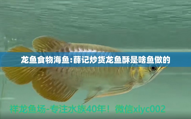 龍魚食物海魚:薛記炒貨龍魚酥是啥魚做的 龍魚批發(fā)