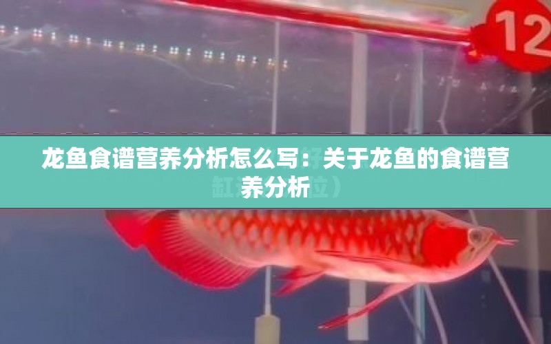 龍魚食譜營(yíng)養(yǎng)分析怎么寫：關(guān)于龍魚的食譜營(yíng)養(yǎng)分析