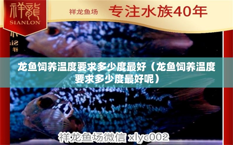 龍魚(yú)飼養(yǎng)溫度要求多少度最好（龍魚(yú)飼養(yǎng)溫度要求多少度最好呢）