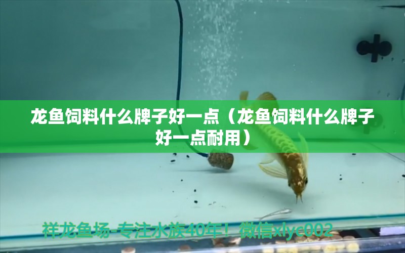 龍魚飼料什么牌子好一點(diǎn)（龍魚飼料什么牌子好一點(diǎn)耐用）