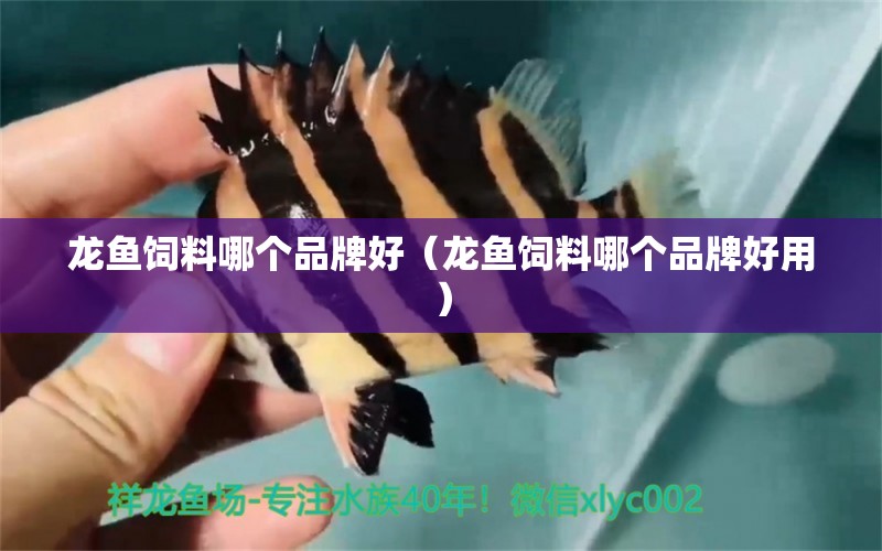 龍魚飼料哪個品牌好（龍魚飼料哪個品牌好用）