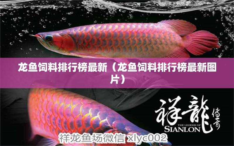 龍魚飼料排行榜最新（龍魚飼料排行榜最新圖片） 龍魚疾病與治療