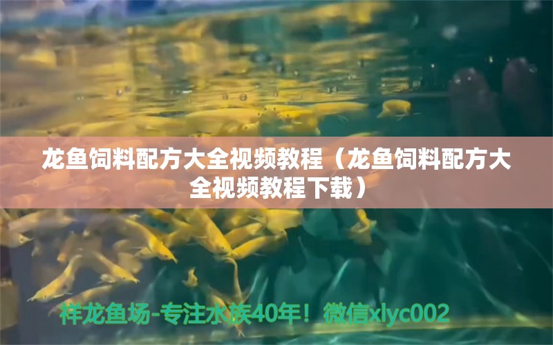 龍魚(yú)飼料配方大全視頻教程（龍魚(yú)飼料配方大全視頻教程下載）