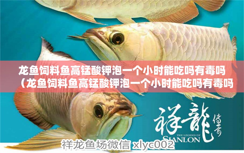 龍魚飼料魚高錳酸鉀泡一個小時能吃嗎有毒嗎（龍魚飼料魚高錳酸鉀泡一個小時能吃嗎有毒嗎） 龍魚疾病與治療