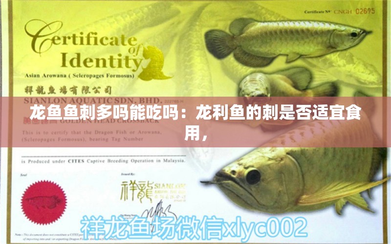 龍魚魚刺多嗎能吃嗎：龍利魚的刺是否適宜食用，