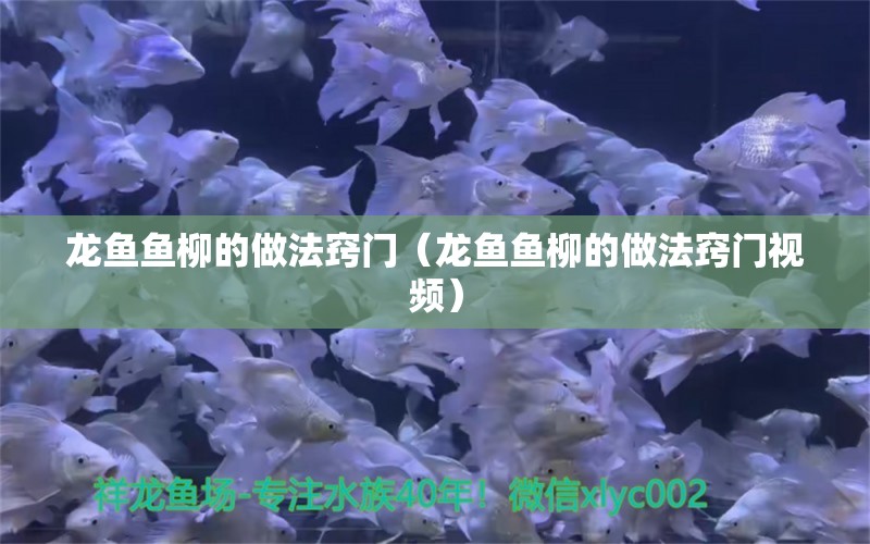 龍魚(yú)魚(yú)柳的做法竅門(mén)（龍魚(yú)魚(yú)柳的做法竅門(mén)視頻）