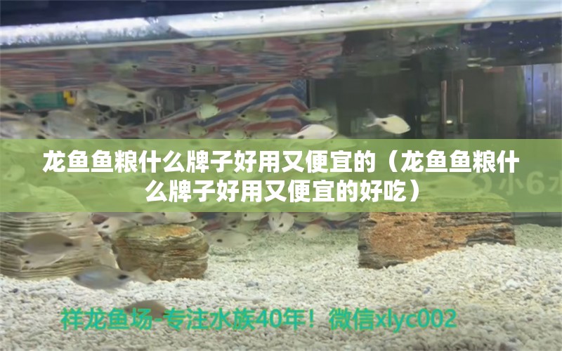 龍魚魚糧什么牌子好用又便宜的（龍魚魚糧什么牌子好用又便宜的好吃）