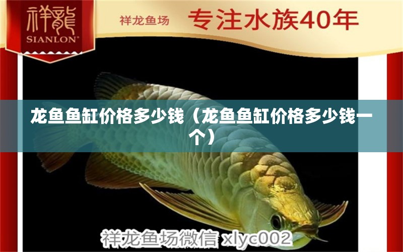 龍魚魚缸價格多少錢（龍魚魚缸價格多少錢一個） 祥龍水族醫(yī)院