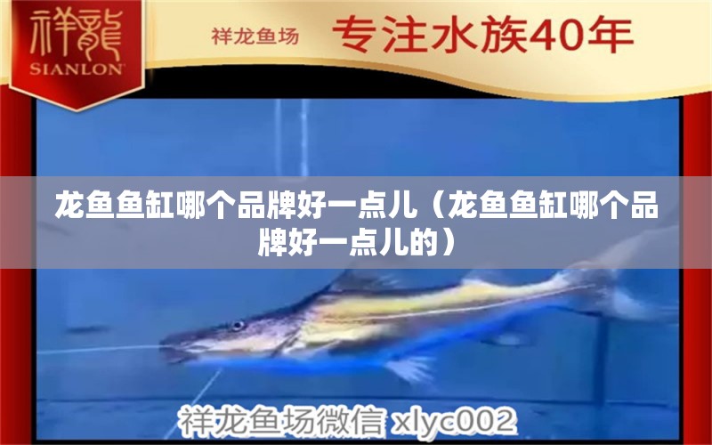 龍魚(yú)魚(yú)缸哪個(gè)品牌好一點(diǎn)兒（龍魚(yú)魚(yú)缸哪個(gè)品牌好一點(diǎn)兒的） 祥龍水族醫(yī)院