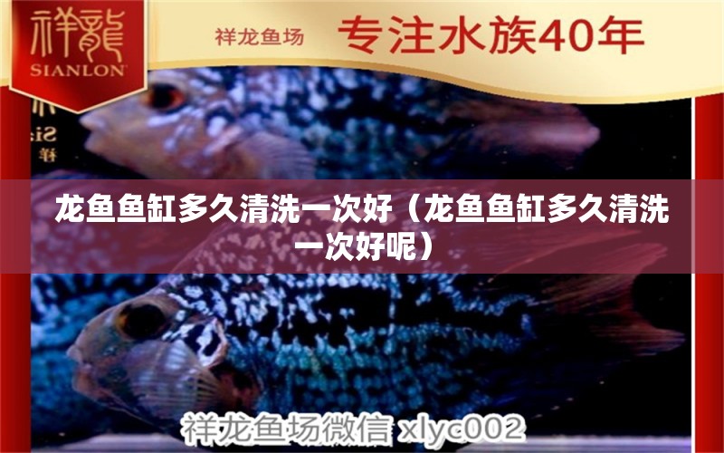 龍魚魚缸多久清洗一次好（龍魚魚缸多久清洗一次好呢） 廣州龍魚批發(fā)市場