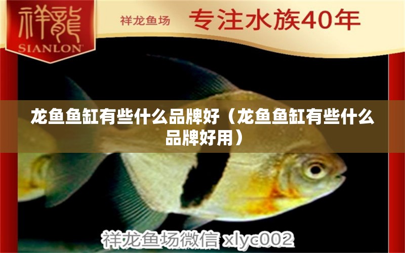 龍魚魚缸有些什么品牌好（龍魚魚缸有些什么品牌好用） 其他品牌魚缸