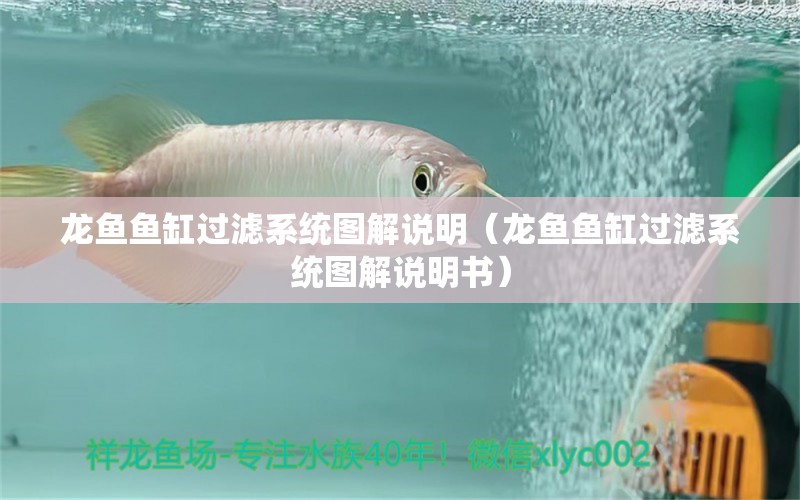 龍魚魚缸過濾系統(tǒng)圖解說明（龍魚魚缸過濾系統(tǒng)圖解說明書）