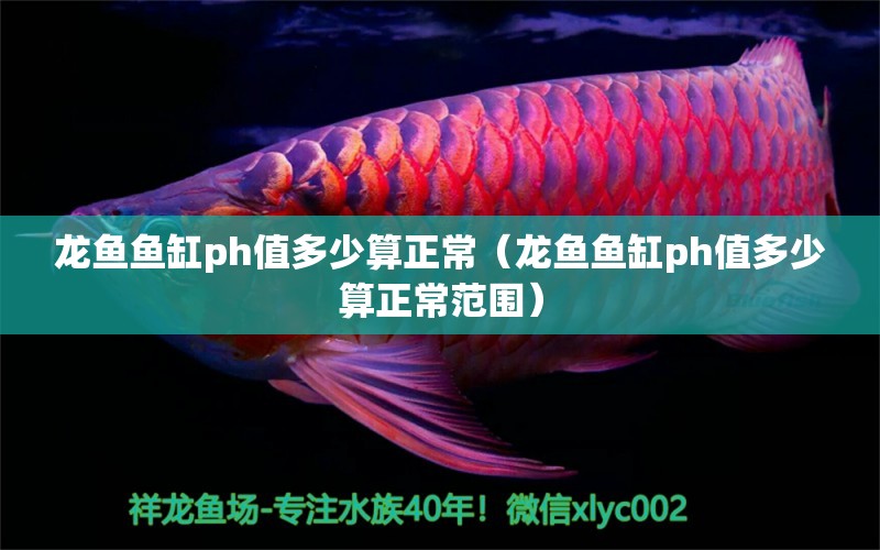 龍魚魚缸ph值多少算正常（龍魚魚缸ph值多少算正常范圍） 量子養(yǎng)魚技術(shù)