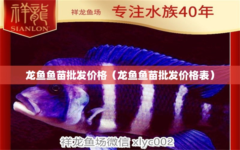 龍魚魚苗批發(fā)價(jià)格（龍魚魚苗批發(fā)價(jià)格表） B級(jí)過(guò)背金龍魚