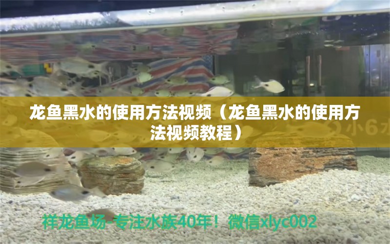 龍魚黑水的使用方法視頻（龍魚黑水的使用方法視頻教程）