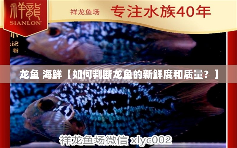 龍魚 海鮮【如何判斷龍魚的新鮮度和質(zhì)量？】 水族問答 第2張