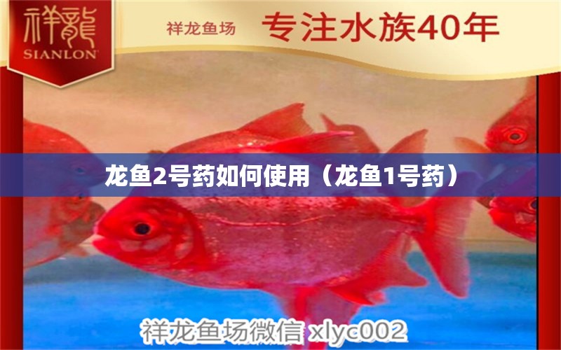 龍魚2號(hào)藥如何使用（龍魚1號(hào)藥）