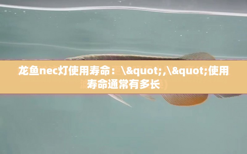 龍魚(yú)nec燈使用壽命：\