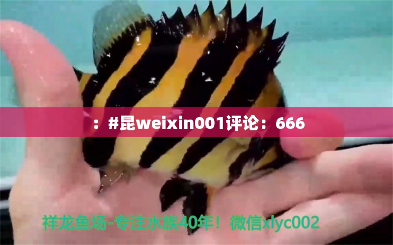 ：#昆weixin001評論：666 觀賞魚論壇 第2張