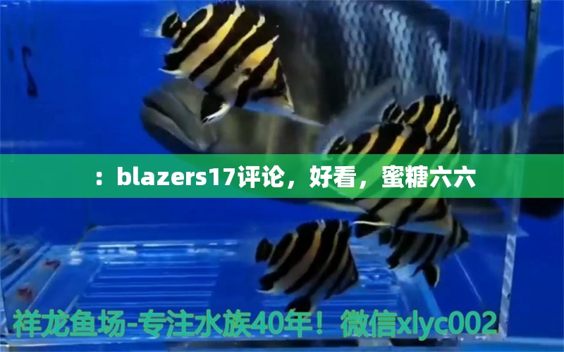 ：blazers17評論，好看，蜜糖六六 觀賞魚論壇 第2張