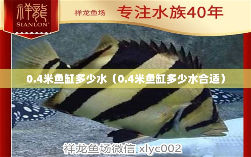 0.4米魚(yú)缸多少水（0.4米魚(yú)缸多少水合適）