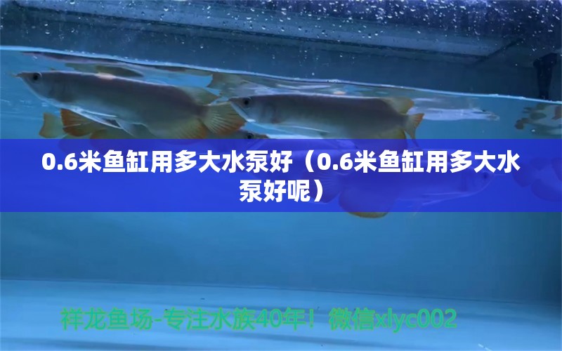 0.6米魚缸用多大水泵好（0.6米魚缸用多大水泵好呢）