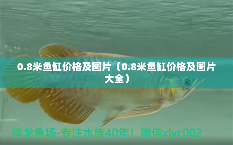 0.8米魚缸價(jià)格及圖片（0.8米魚缸價(jià)格及圖片大全） 魚缸百科