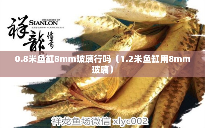 0.8米魚缸8mm玻璃行嗎（1.2米魚缸用8mm玻璃） 魚缸百科